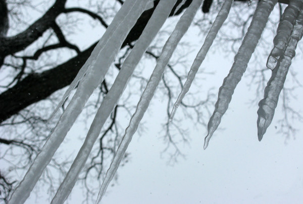 icicles